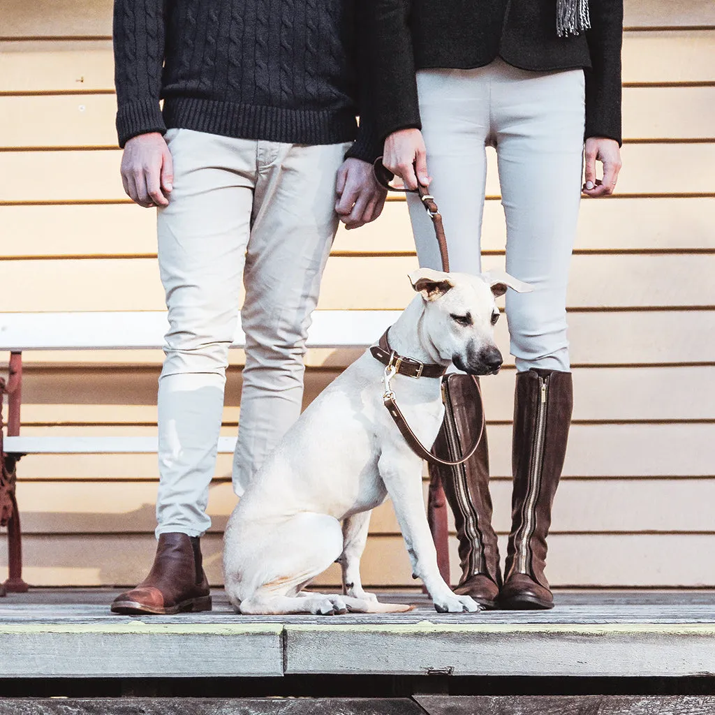 EZYDOG Oxford Leather Lead - Brown